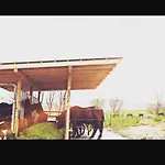 Eternahof Maison d'hôtes 3*
