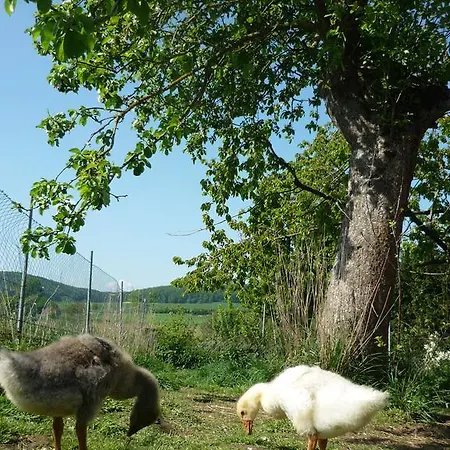 Affittacamere Eternahof 3*