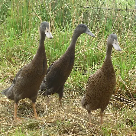 Eternahof Bad Gandersheim