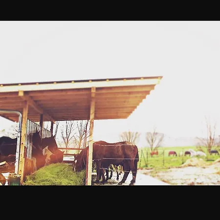 Eternahof Affittacamere 3*