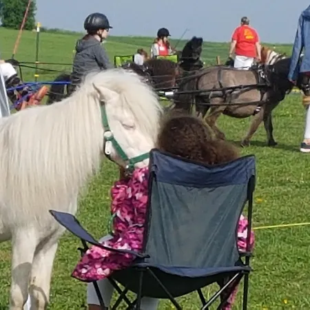 Affittacamere Eternahof 3*