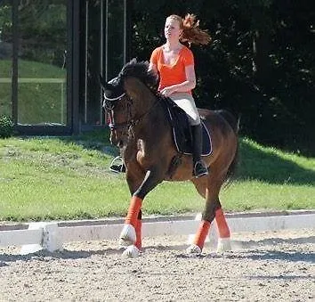 Affittacamere Eternahof Bad Gandersheim