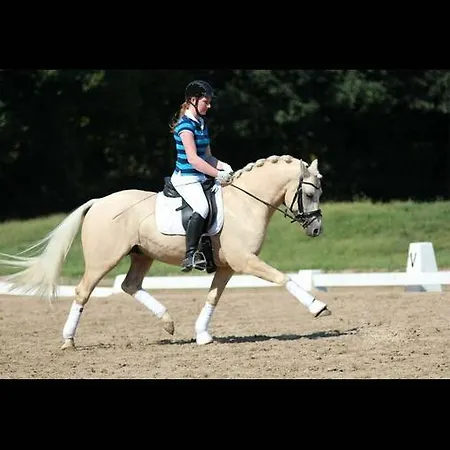 Affittacamere Eternahof