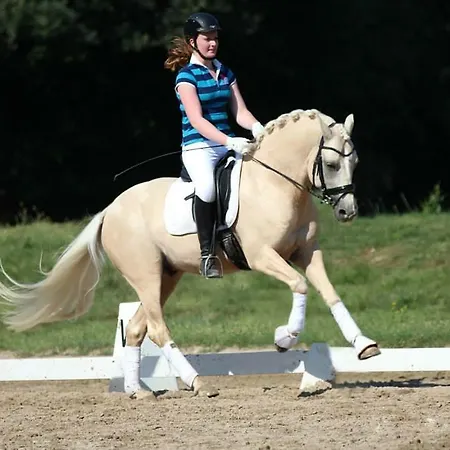 Eternahof Affittacamere Bad Gandersheim