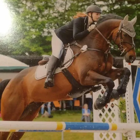 Affittacamere Eternahof