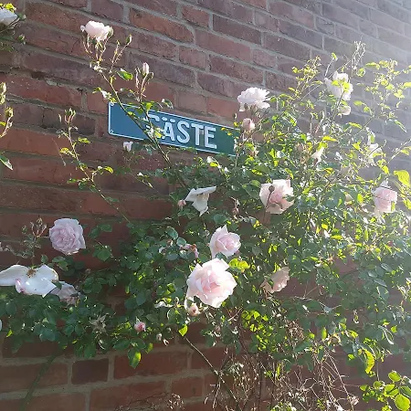 Eternahof