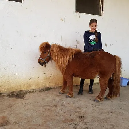 Affittacamere Eternahof